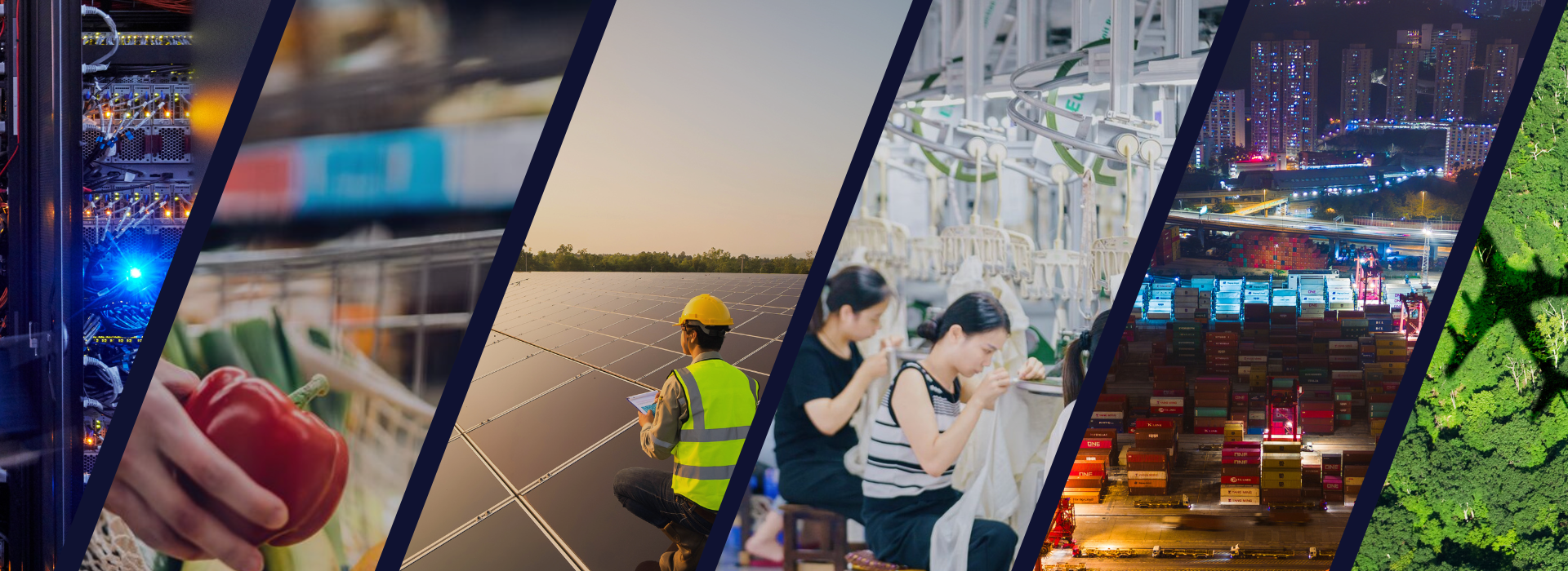 Collage of tech, agriculture, solar energy, textiles, shipping, and forest