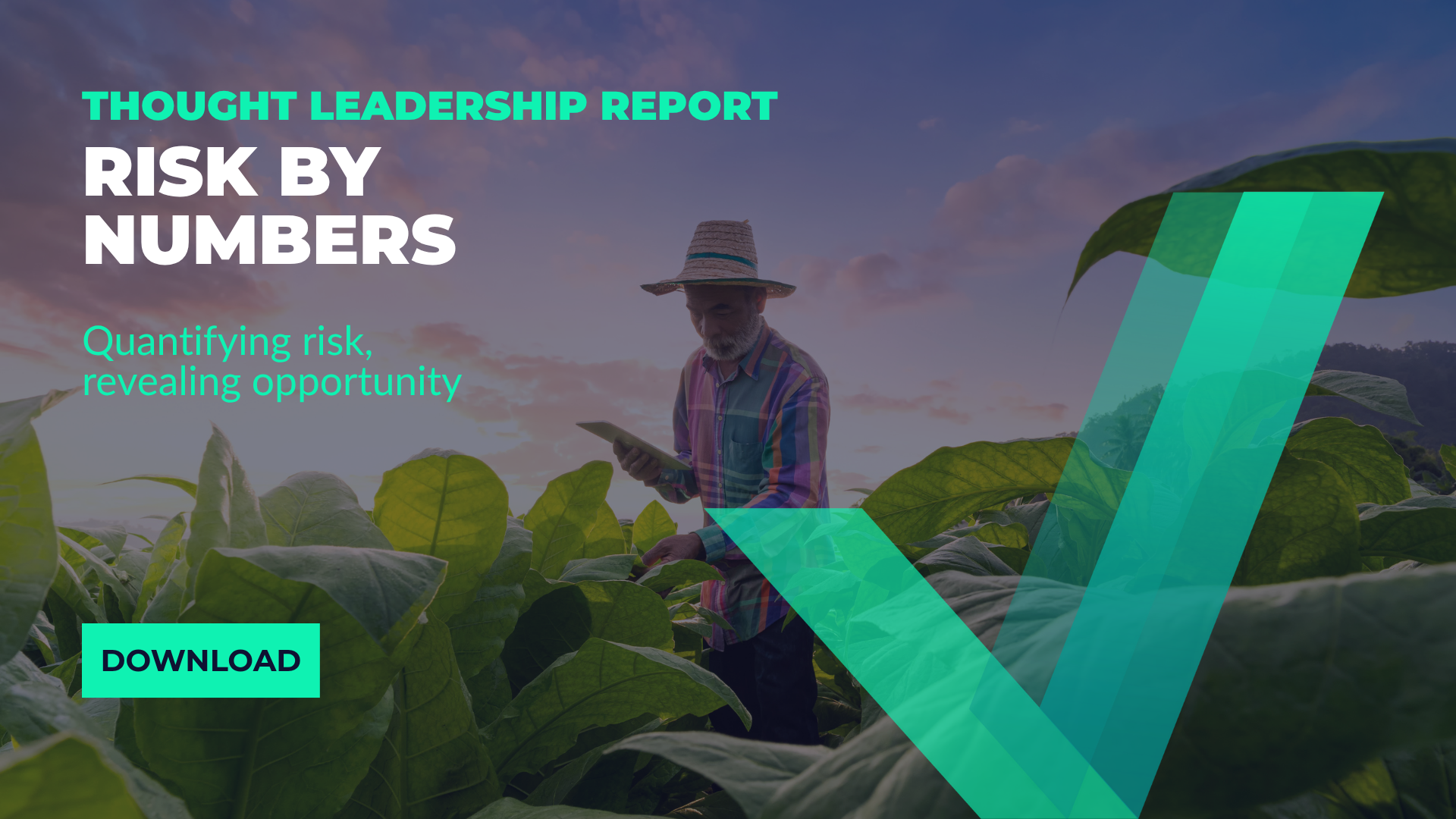 Risk by numbers front cover image